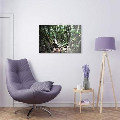 Acrylic Prints - US Made - Ideal for a Stunning Home/Office Decor Ideas - El Yunque Rainforest - The Early Holy Spirit River as painting - CCMM* - Green Forest Home