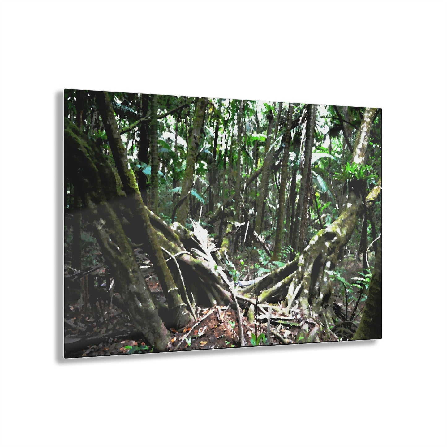 Acrylic Prints - US Made - Ideal for a Stunning Home/Office Decor Ideas - El Yunque Rainforest - The Early Holy Spirit River as painting - CCMM* - Green Forest Home