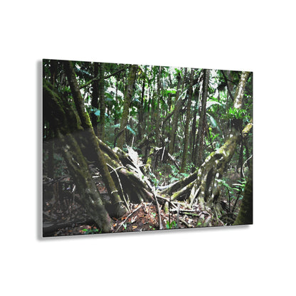 Acrylic Prints - US Made - Ideal for a Stunning Home/Office Decor Ideas - El Yunque Rainforest - The Early Holy Spirit River as painting - CCMM* - Green Forest Home