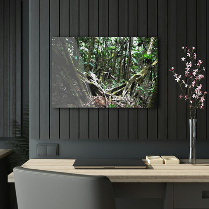 Acrylic Prints - US Made - Ideal for a Stunning Home/Office Decor Ideas - El Yunque Rainforest - The Early Holy Spirit River as painting - CCMM* - Green Forest Home