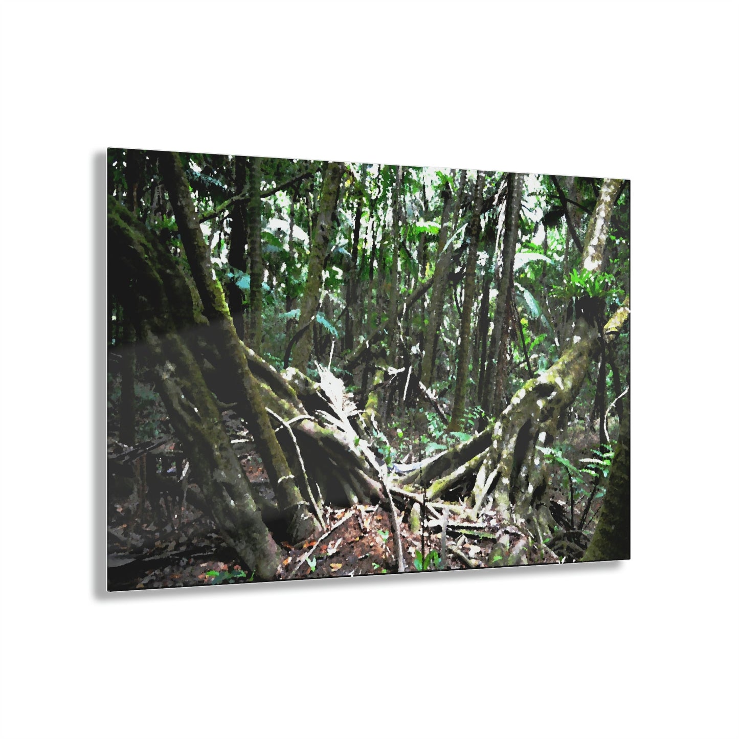 Acrylic Prints - US Made - Ideal for a Stunning Home/Office Decor Ideas - El Yunque Rainforest - The Early Holy Spirit River as painting - CCMM* - Green Forest Home