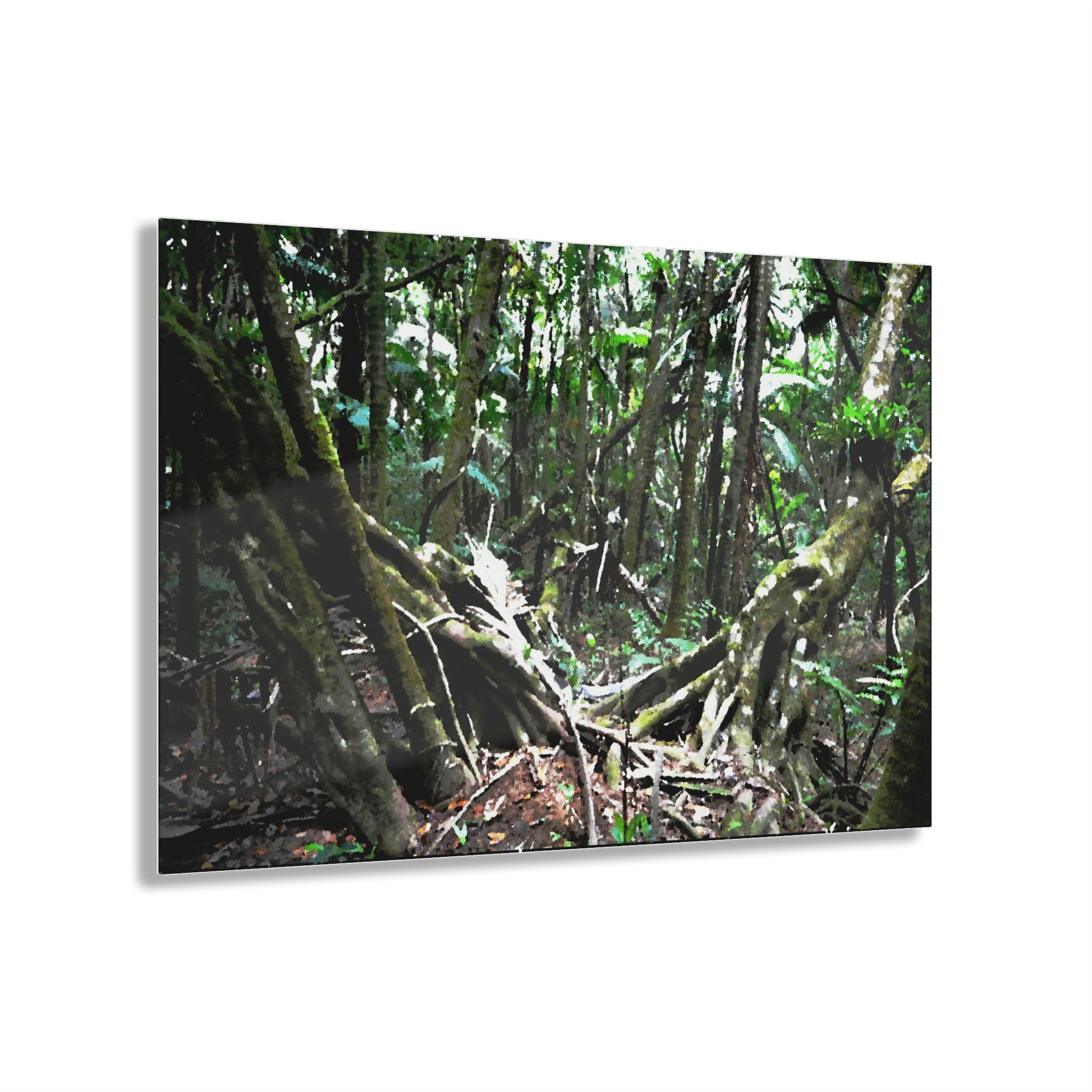 Acrylic Prints - US Made - Ideal for a Stunning Home/Office Decor Ideas - El Yunque Rainforest - The Early Holy Spirit River as painting - CCMM* - Green Forest Home
