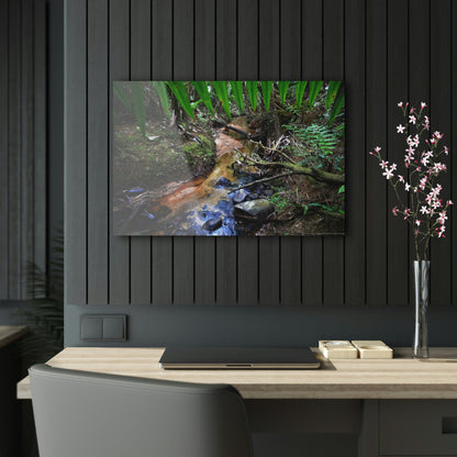 Acrylic Prints - US Made - Ideal for a Stunning Home/Office Decor Ideas - El Yunque Rainforest - The Early Holy Spirit River - CCMM* - Green Forest Home