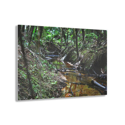 Acrylic Prints - US Made - Ideal for a Stunning Home/Office Decor Ideas - El Yunque Rainforest - The Early Holy Spirit River - CCMM* - Green Forest Home