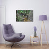 Acrylic Prints - US Made - Ideal for a Stunning Home/Office Decor Ideas - El Yunque Rainforest - The Early Holy Spirit River - CCMM* - Green Forest Home
