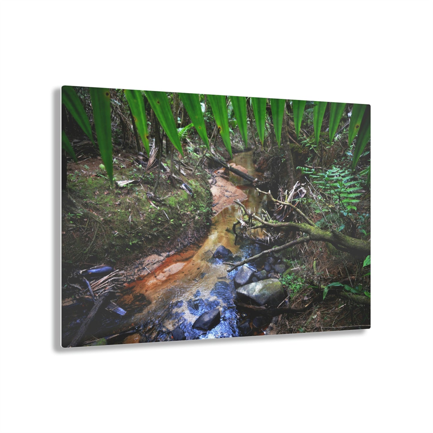 Acrylic Prints - US Made - Ideal for a Stunning Home/Office Decor Ideas - El Yunque Rainforest - The Early Holy Spirit River - CCMM* - Green Forest Home