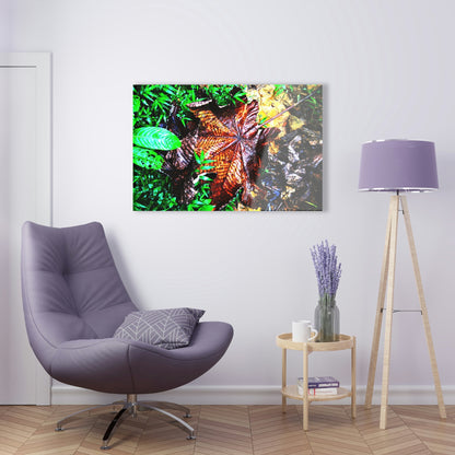 Acrylic Prints - US Made - Ideal for a Stunning Home/Office Decor Ideas - El Yunque Rainforest - The Early Holy Spirit River - CCMM* - Green Forest Home
