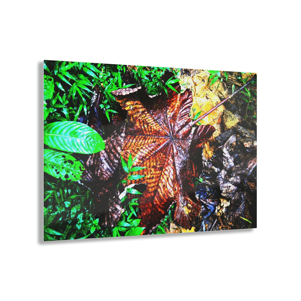 Acrylic Prints - US Made - Ideal for a Stunning Home/Office Decor Ideas - El Yunque Rainforest - The Early Holy Spirit River - CCMM* - Green Forest Home