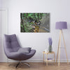 Acrylic Prints - US Made - Ideal for a Stunning Home/Office Decor Ideas - El Yunque Rainforest - The Early Holy Spirit River - CCMM* - Green Forest Home
