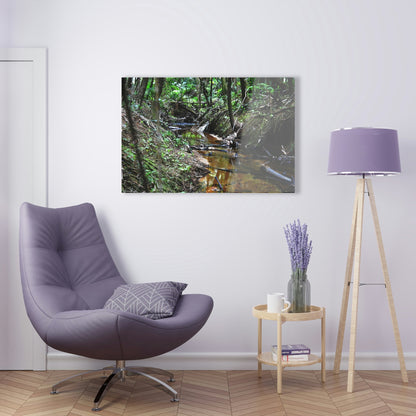 Acrylic Prints - US Made - Ideal for a Stunning Home/Office Decor Ideas - El Yunque Rainforest - The Early Holy Spirit River - CCMM* - Green Forest Home