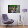 Acrylic Prints - US Made - Ideal for a Stunning Home/Office Decor Ideas - El Yunque Rainforest - The Early Holy Spirit River - CCMM* - Green Forest Home