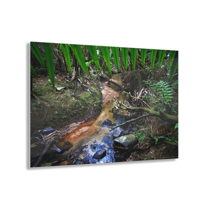 Acrylic Prints - US Made - Ideal for a Stunning Home/Office Decor Ideas - El Yunque Rainforest - The Early Holy Spirit River - CCMM* - Green Forest Home