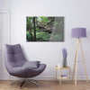 Acrylic Prints - US Made - Ideal for a Stunning Home/Office Decor Ideas - El Yunque Rainforest - The Early Holy Spirit River - CCMM* - Green Forest Home