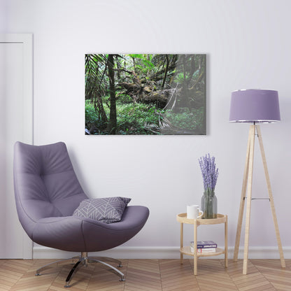 Acrylic Prints - US Made - Ideal for a Stunning Home/Office Decor Ideas - El Yunque Rainforest - The Early Holy Spirit River - CCMM* - Green Forest Home