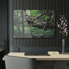 Acrylic Prints - US Made - Ideal for a Stunning Home/Office Decor Ideas - El Yunque Rainforest - The Early Holy Spirit River - CCMM* - Green Forest Home