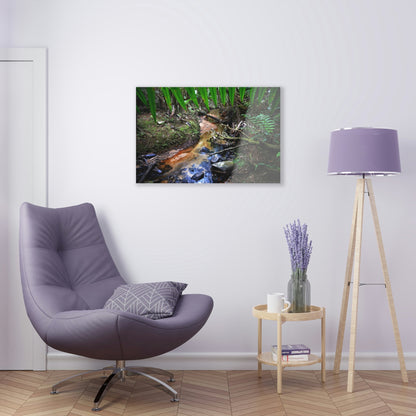 Acrylic Prints - US Made - Ideal for a Stunning Home/Office Decor Ideas - El Yunque Rainforest - The Early Holy Spirit River - CCMM* - Green Forest Home