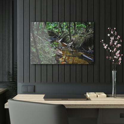 Acrylic Prints - US Made - Ideal for a Stunning Home/Office Decor Ideas - El Yunque Rainforest - The Early Holy Spirit River - CCMM* - Green Forest Home