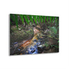 Acrylic Prints - US Made - Ideal for a Stunning Home/Office Decor Ideas - El Yunque Rainforest - The Early Holy Spirit River - CCMM* - Green Forest Home