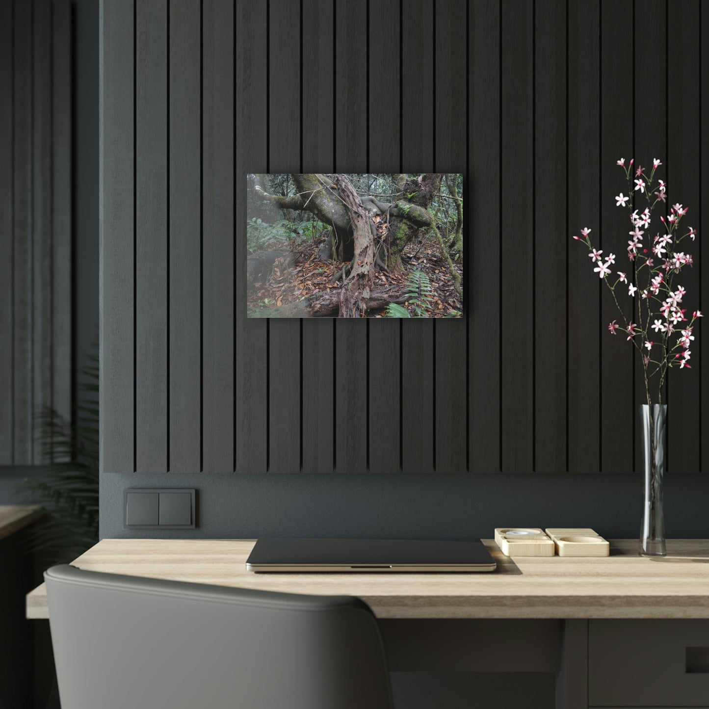 Acrylic Prints - US Made - Ideal for a Stunning Home/Office Decor Ideas - El Yunque Rainforest - Tradewinds Trail Cloud Forest - CCMM* - Green Forest Home