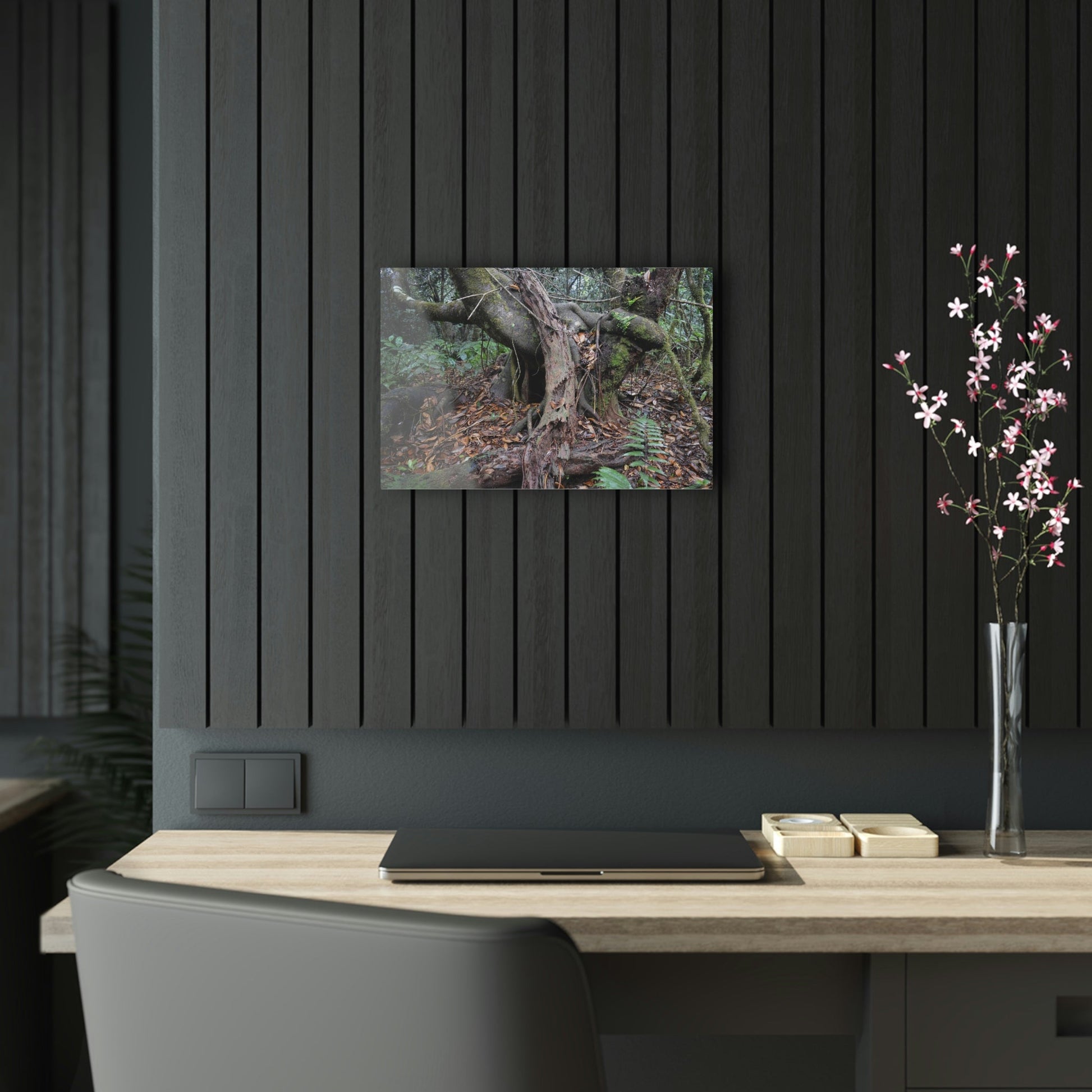 Acrylic Prints - US Made - Ideal for a Stunning Home/Office Decor Ideas - El Yunque Rainforest - Tradewinds Trail Cloud Forest - CCMM* - Green Forest Home