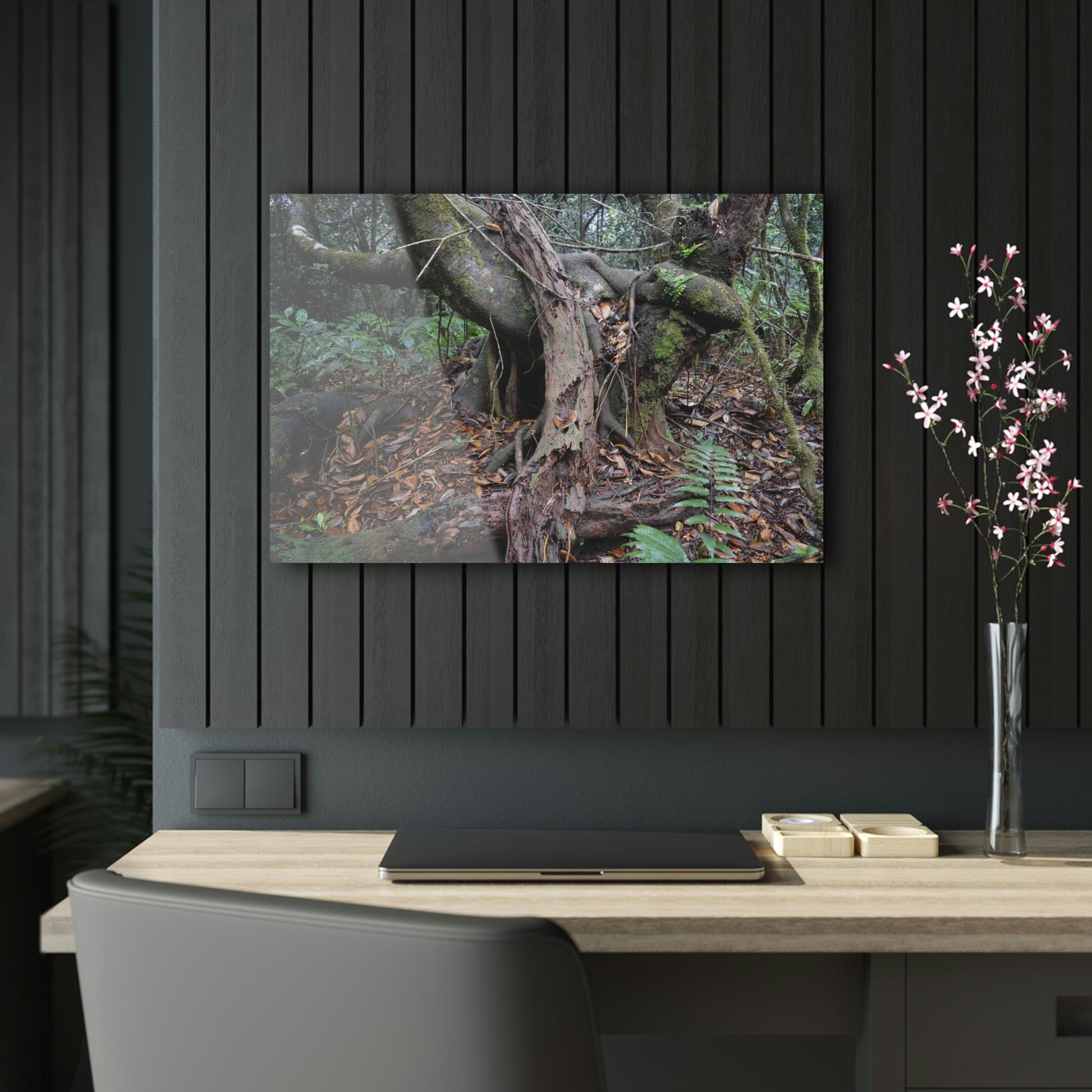 Acrylic Prints - US Made - Ideal for a Stunning Home/Office Decor Ideas - El Yunque Rainforest - Tradewinds Trail Cloud Forest - CCMM* - Green Forest Home
