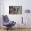 Acrylic Prints - US Made - Ideal for a Stunning Home/Office Decor Ideas - El Yunque Rainforest - Tradewinds Trail Cloud Forest - CCMM* - Green Forest Home