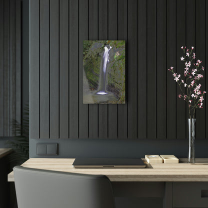 Acrylic Prints - US Made - Ideal for a Stunning Home/Office Decor Ideas - El Yunque Rainforest Waterfall - Juan Diego River - CCMM* - Green Forest Home