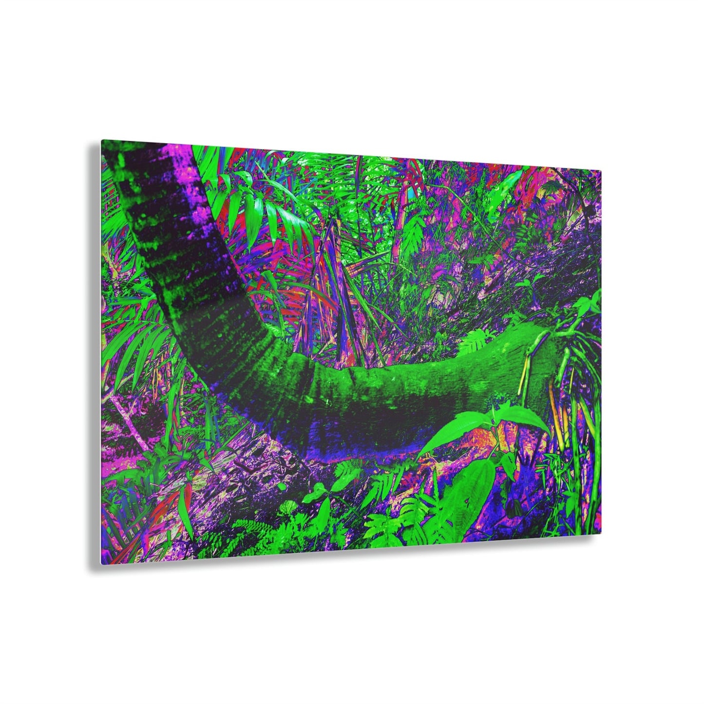 Acrylic Prints - US Made - Ideal for a Stunning Home/Office Decor Ideas - El Yunque Rainforest Waterfall - Juan Diego River Sierra Palm - CCMM* - Green Forest Home