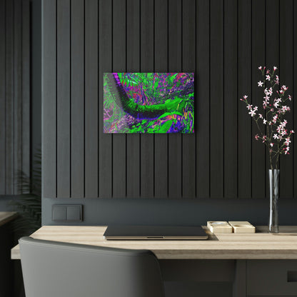 Acrylic Prints - US Made - Ideal for a Stunning Home/Office Decor Ideas - El Yunque Rainforest Waterfall - Juan Diego River Sierra Palm - CCMM* - Green Forest Home