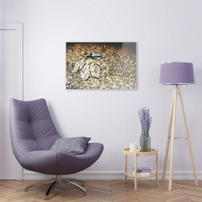 Acrylic Prints - US Made - Ideal for a Stunning Home/Office Decor Ideas - El Yunque Rainforest - Yagrumo leaf in mud with rain drops marks near river - CCMM* - Green Forest Home