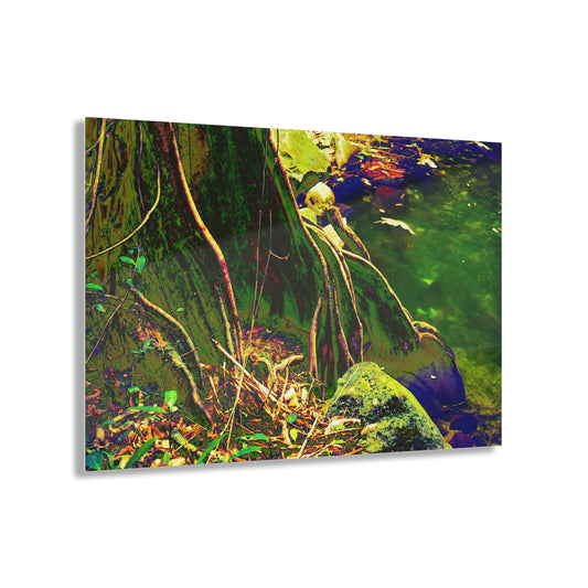 Acrylic Prints - US Made - Ideal for a Stunning Home/Office Decor Ideas - El Yunque - Roots on pond on La Coca Trail - CCMM* - Green Forest Home