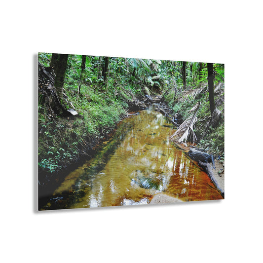 Acrylic Prints - US Made - Ideal for a Stunning Home/Office Decor Ideas - El Yunque - The Beauty of the Espiritu Santo River - CCMM* - Green Forest Home