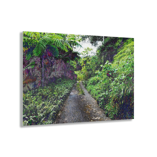 Acrylic Prints - US Made - Ideal for a Stunning Home/Office Decor Ideas - El Yunque - The Closed side of PR 191 Across the Forest - CCMM* - Green Forest Home