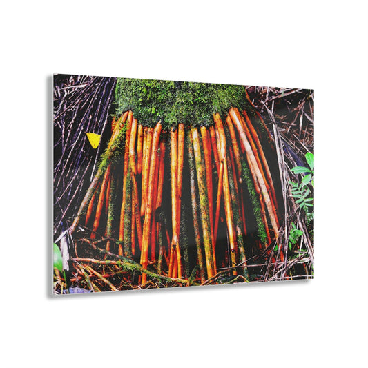 Acrylic Prints - US Made - Ideal for a Stunning Home/Office Decor Ideas - El Yunque - The Strong Roots of the Sierra Palm that can survive hurricanes - CCMM* - Green Forest Home