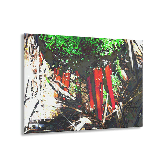 Acrylic Prints - US Made - Ideal for a Stunning Home/Office Decor Ideas - El Yunque - The Strong Roots of the Sierra Palm that can survive hurricanes - CCMM* - Green Forest Home