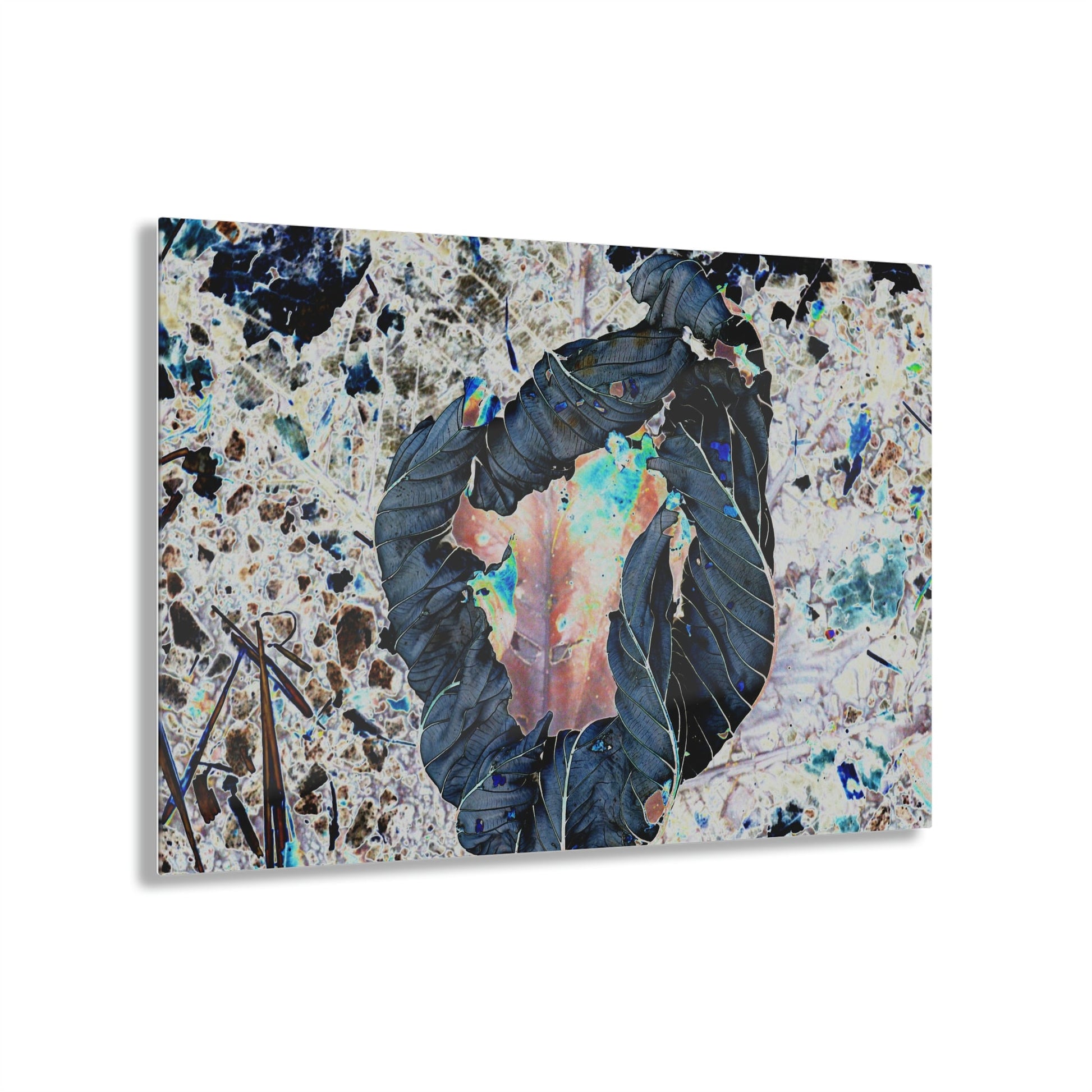 Acrylic Prints - US Made - Ideal for a Stunning Home/Office Decor Ideas - El Yunque - The white side of a Yagrumo tree leaf turns black via CCMM* - Green Forest Home