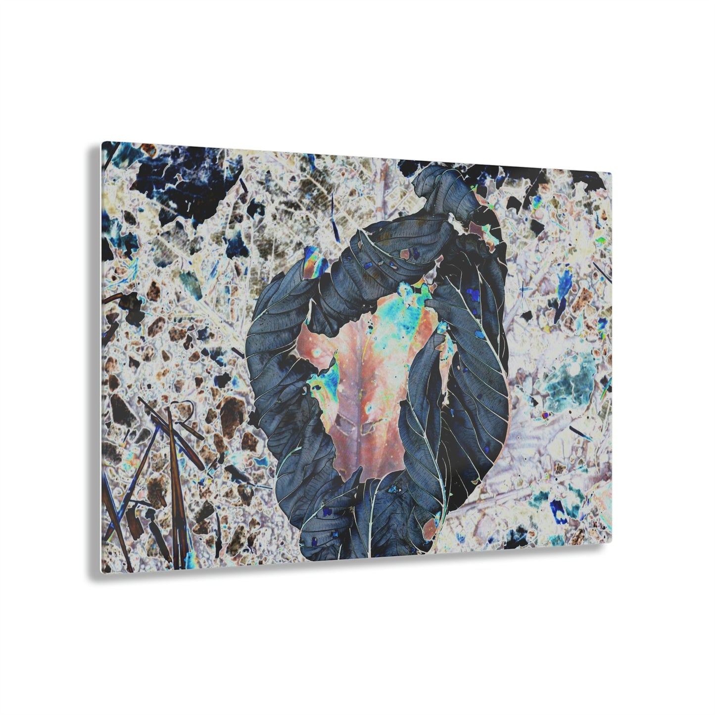 Acrylic Prints - US Made - Ideal for a Stunning Home/Office Decor Ideas - El Yunque - The white side of a Yagrumo tree leaf turns black via CCMM* - Green Forest Home