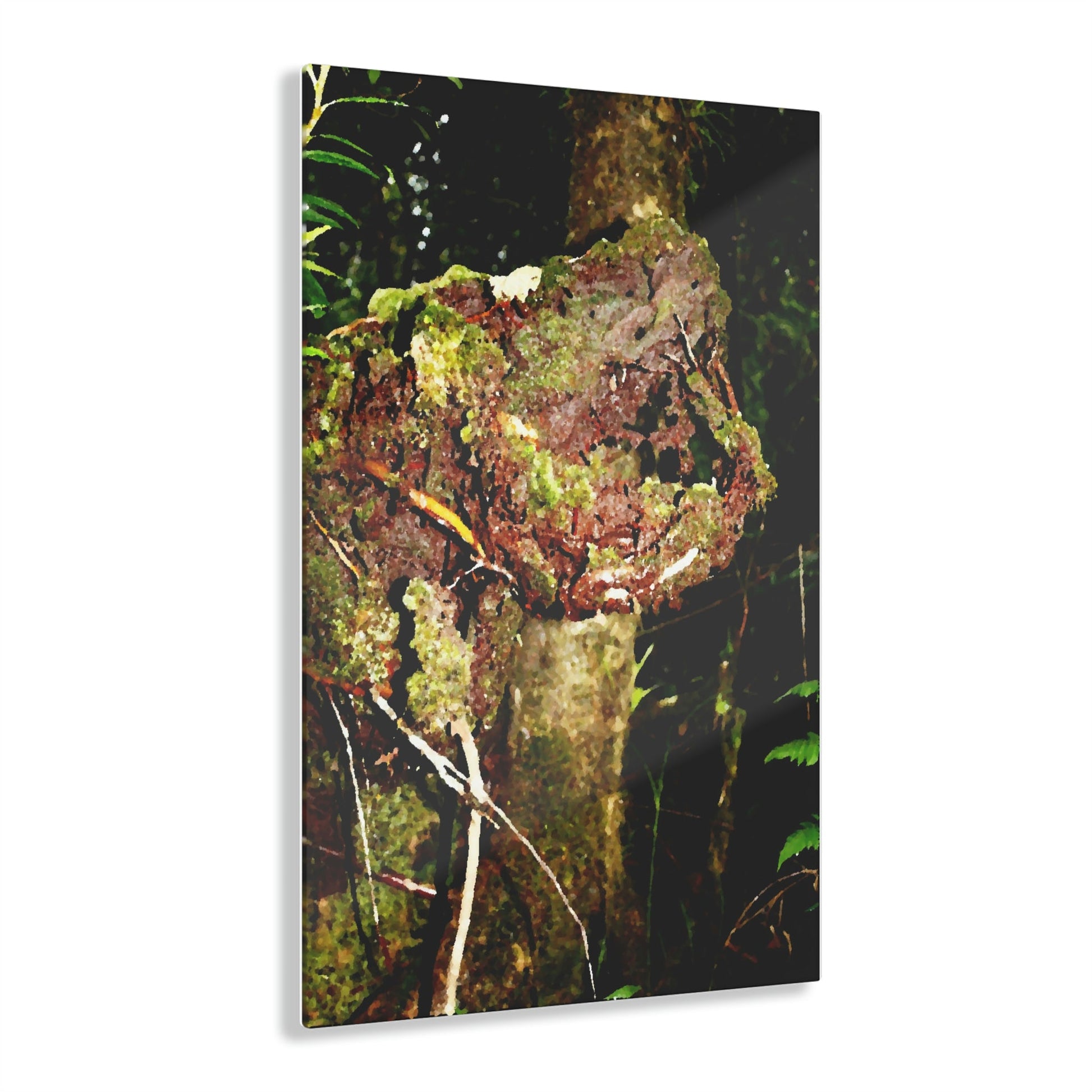 Acrylic Prints - US Made - Ideal for a Stunning Home/Office Decor Ideas - El Yunque - Tradewinds decomposing tree The Cry of Death - CCMM* - Green Forest Home
