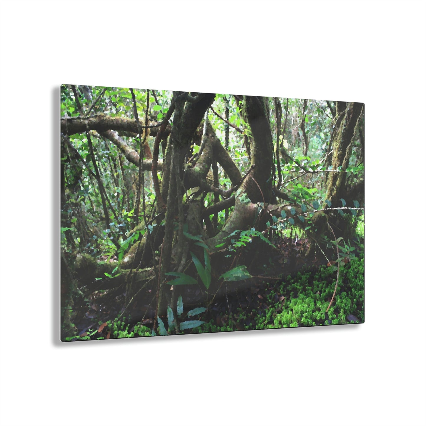 Acrylic Prints - US Made - Ideal for a Stunning Home/Office Decor Ideas - El Yunque - Tradewinds Trail Dance of Trees in Cloud Forest as Painting - CCMM* - Green Forest Home