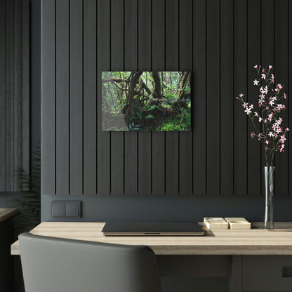 Acrylic Prints - US Made - Ideal for a Stunning Home/Office Decor Ideas - El Yunque - Tradewinds Trail Dance of Trees in Cloud Forest as Painting - CCMM* - Green Forest Home