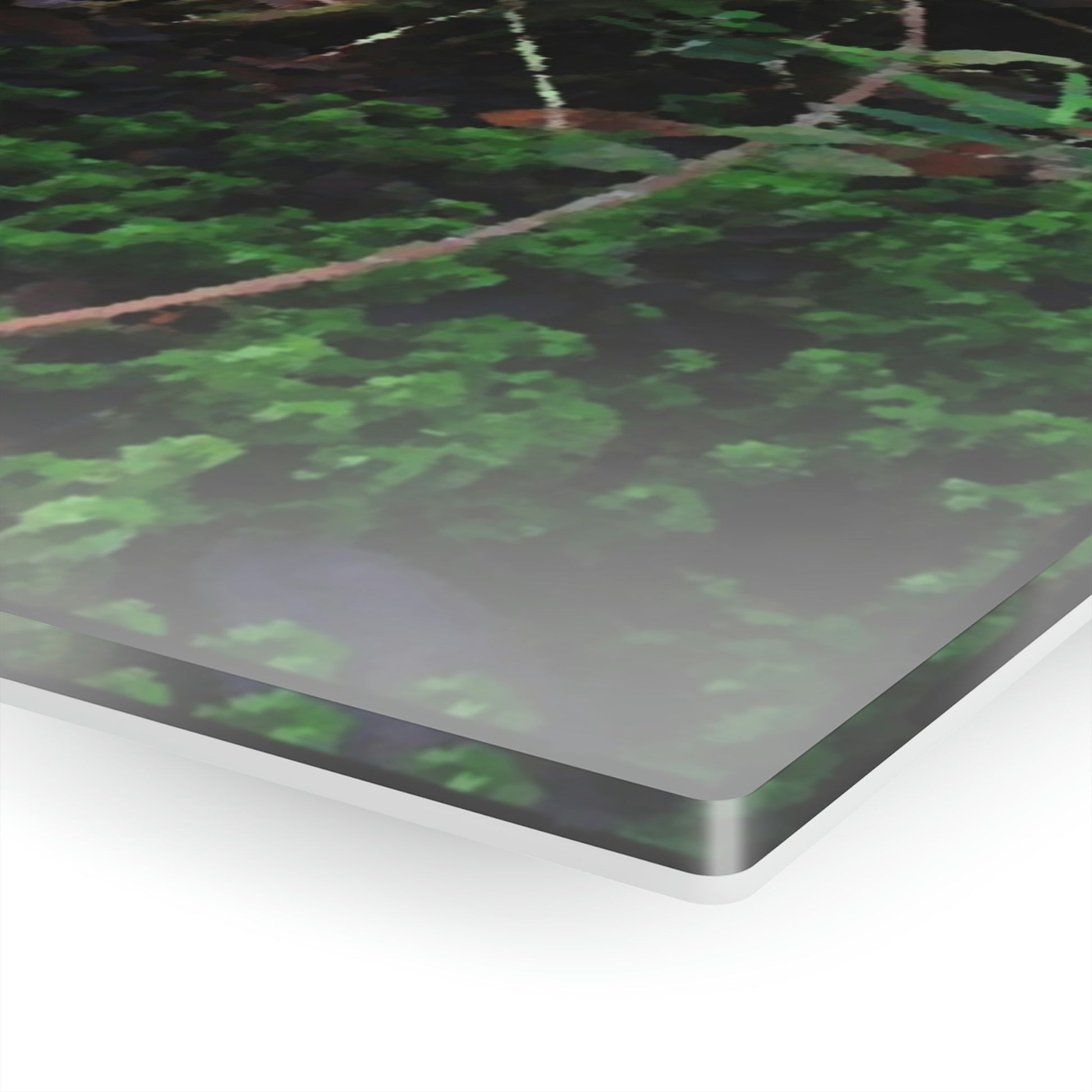 Acrylic Prints - US Made - Ideal for a Stunning Home/Office Decor Ideas - El Yunque - Tradewinds Trail Dance of Trees in Cloud Forest as Painting - CCMM* - Green Forest Home