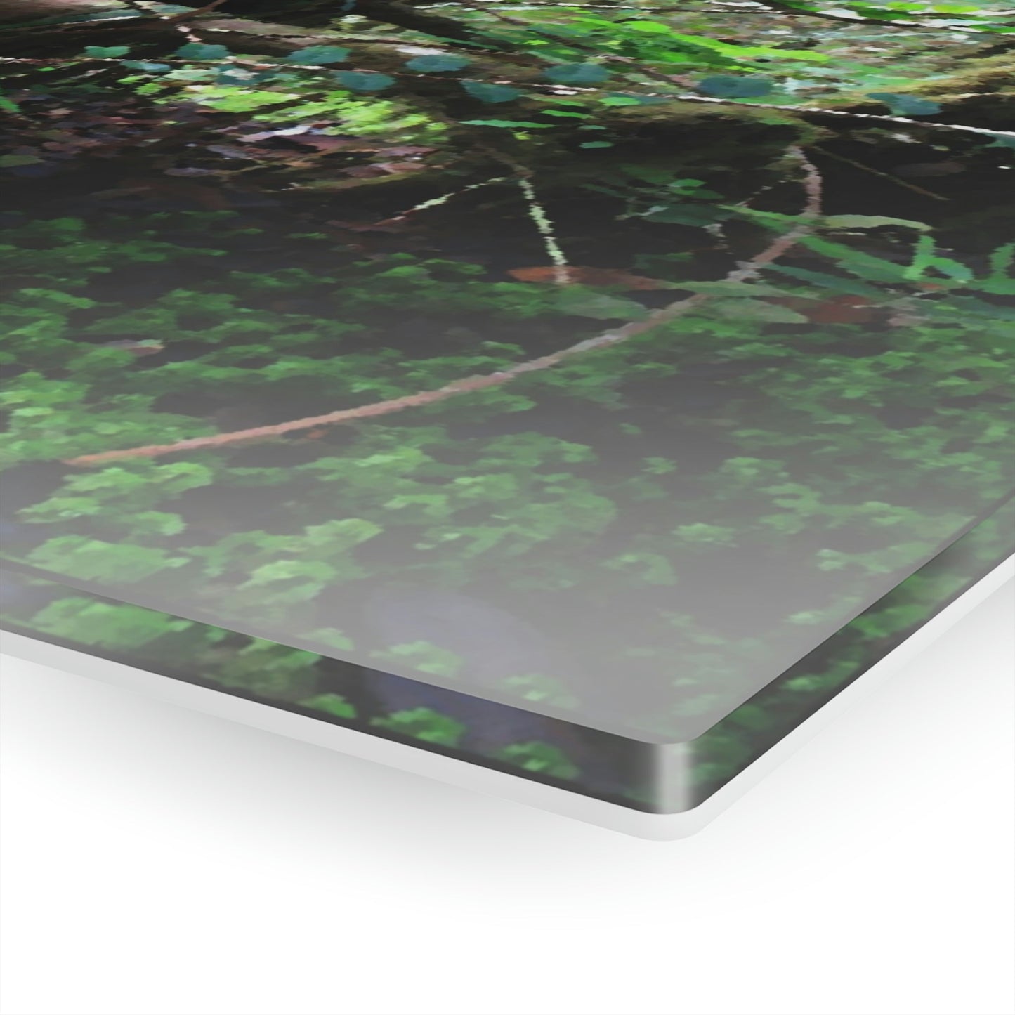 Acrylic Prints - US Made - Ideal for a Stunning Home/Office Decor Ideas - El Yunque - Tradewinds Trail Dance of Trees in Cloud Forest as Painting - CCMM* - Green Forest Home