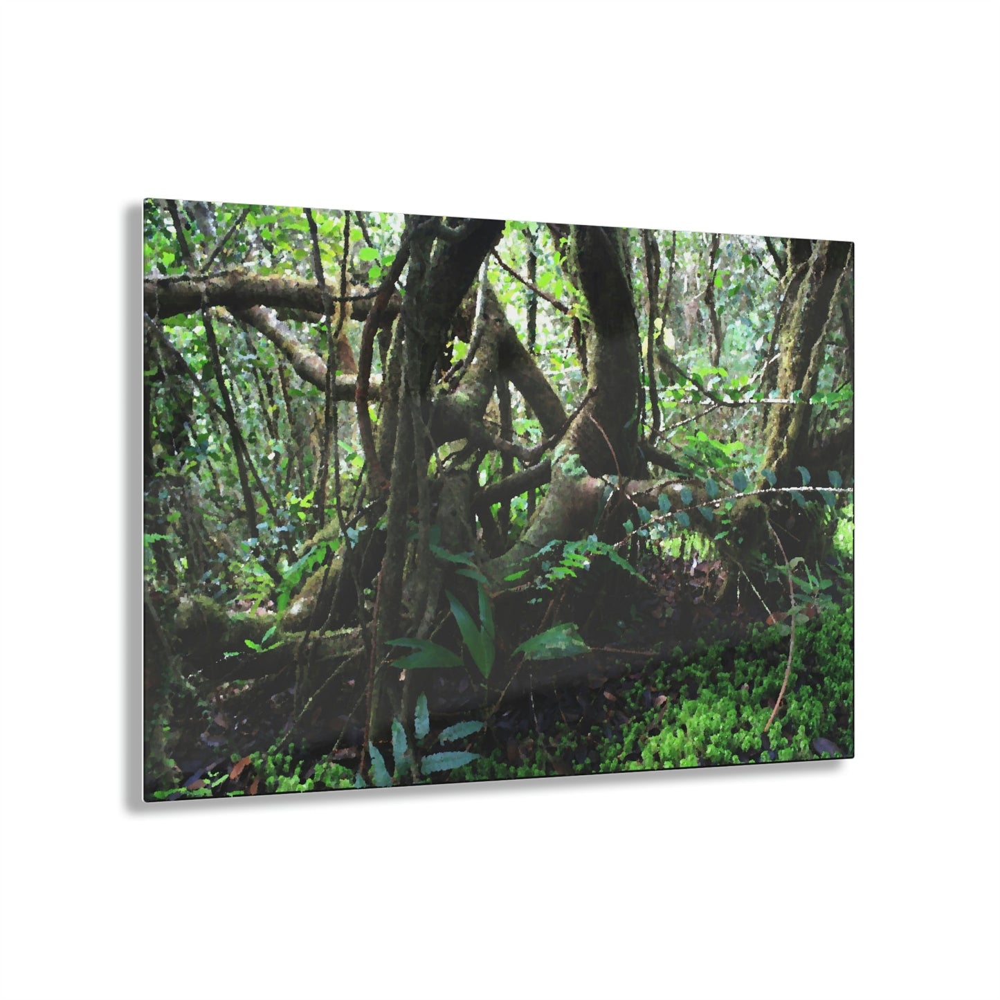Acrylic Prints - US Made - Ideal for a Stunning Home/Office Decor Ideas - El Yunque - Tradewinds Trail Dance of Trees in Cloud Forest as Painting - CCMM* - Green Forest Home