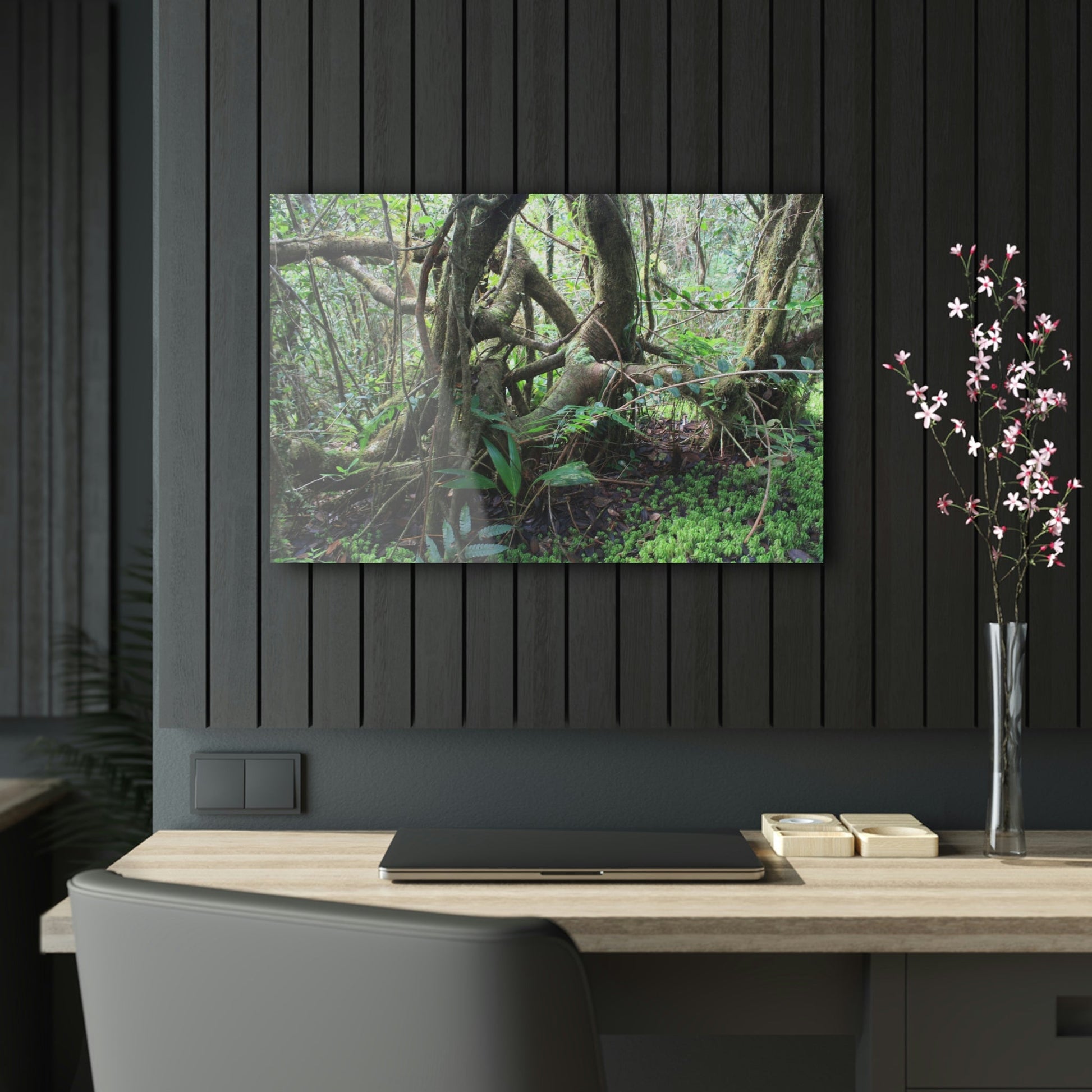 Acrylic Prints - US Made - Ideal for a Stunning Home/Office Decor Ideas - El Yunque - Tradewinds Trail Dance of Trees in Cloud Forest - CCMM* - Green Forest Home