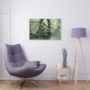 Acrylic Prints - US Made - Ideal for a Stunning Home/Office Decor Ideas - El Yunque - Tradewinds Trail Dance of Trees in Cloud Forest - CCMM* - Green Forest Home