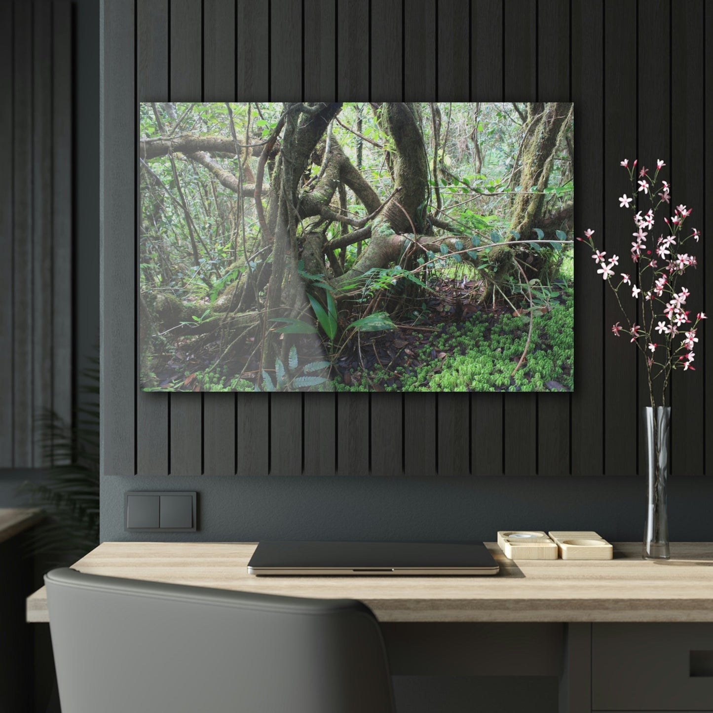 Acrylic Prints - US Made - Ideal for a Stunning Home/Office Decor Ideas - El Yunque - Tradewinds Trail Dance of Trees in Cloud Forest - CCMM* - Green Forest Home