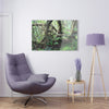 Acrylic Prints - US Made - Ideal for a Stunning Home/Office Decor Ideas - El Yunque - Tradewinds Trail Dance of Trees in Cloud Forest - CCMM* - Green Forest Home