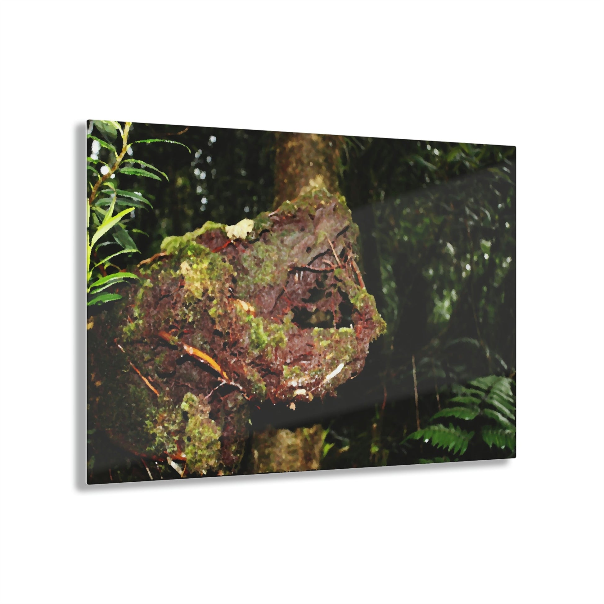 Acrylic Prints - US Made - Ideal for a Stunning Home/Office Decor Ideas - El Yunque - Tradewinds Trail The Cry f - CCMM* - Green Forest Home