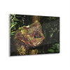Acrylic Prints - US Made - Ideal for a Stunning Home/Office Decor Ideas - El Yunque - Tradewinds Trail The Cry f - CCMM* - Green Forest Home