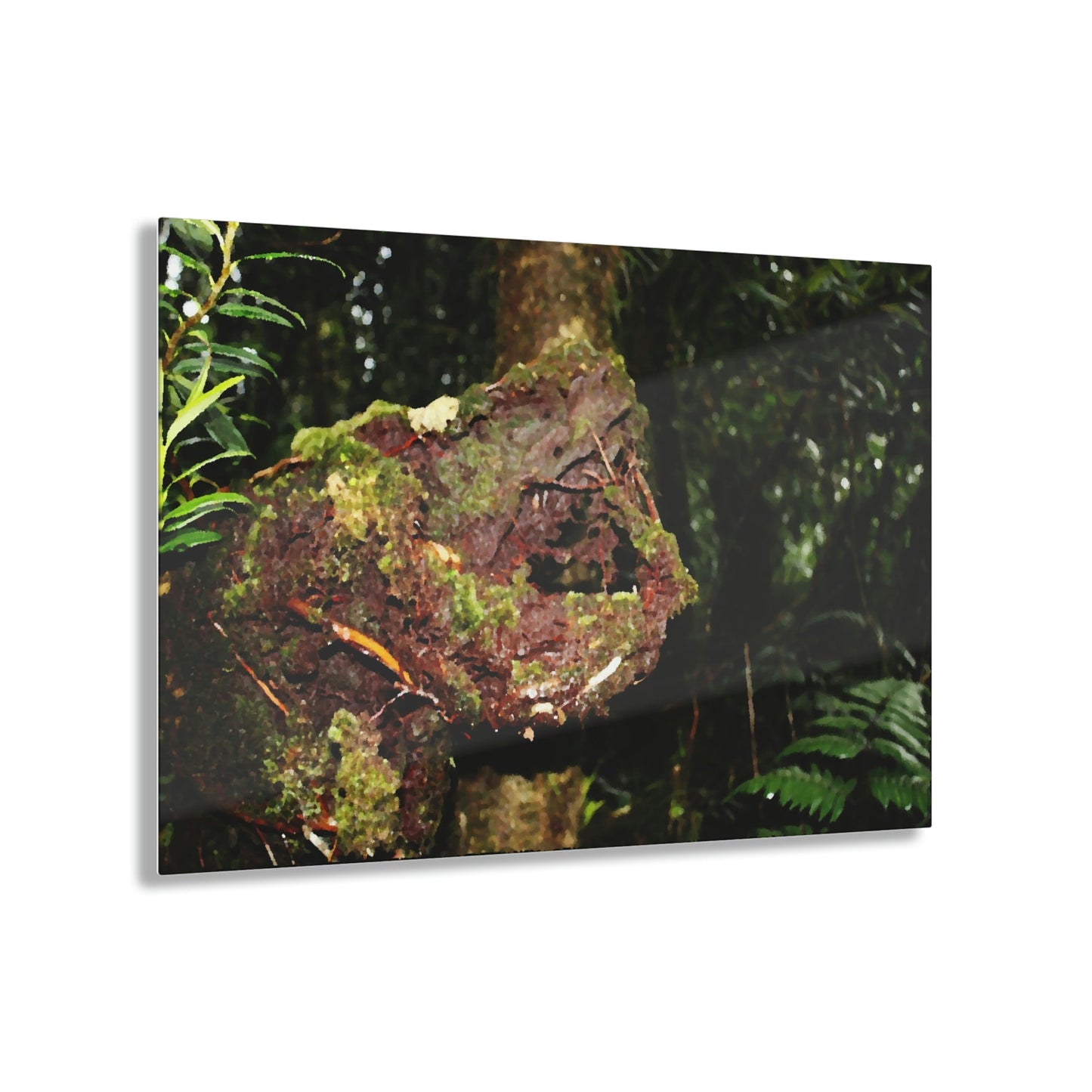 Acrylic Prints - US Made - Ideal for a Stunning Home/Office Decor Ideas - El Yunque - Tradewinds Trail The Cry f - CCMM* - Green Forest Home